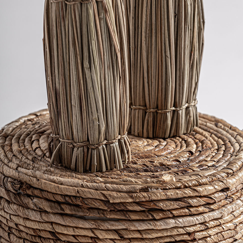Miniatura: Planta Areca