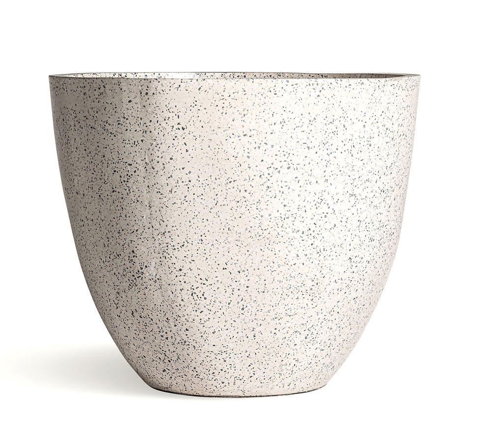 Vaso Albenga