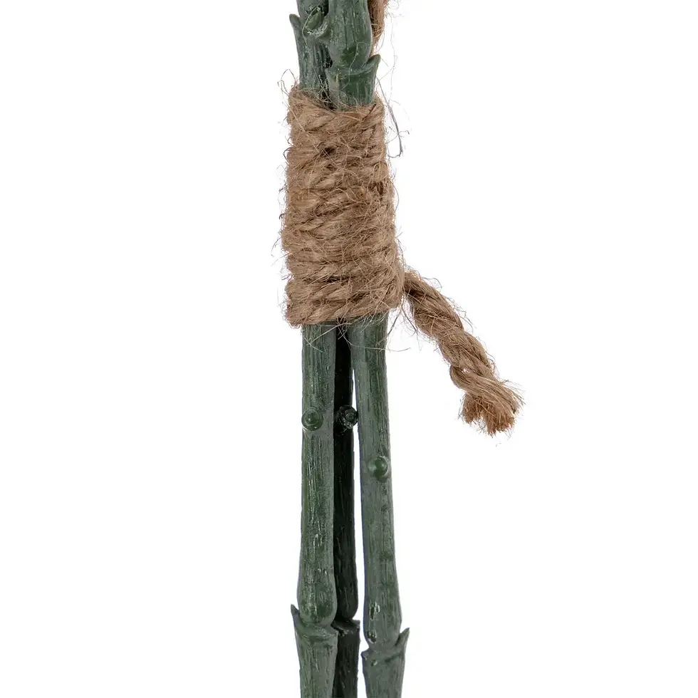 Miniatura: Ramo Eucalipto Verde