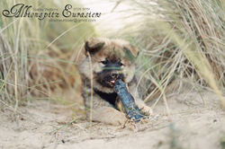 387873645_797628168991941_3011452362642929969_n