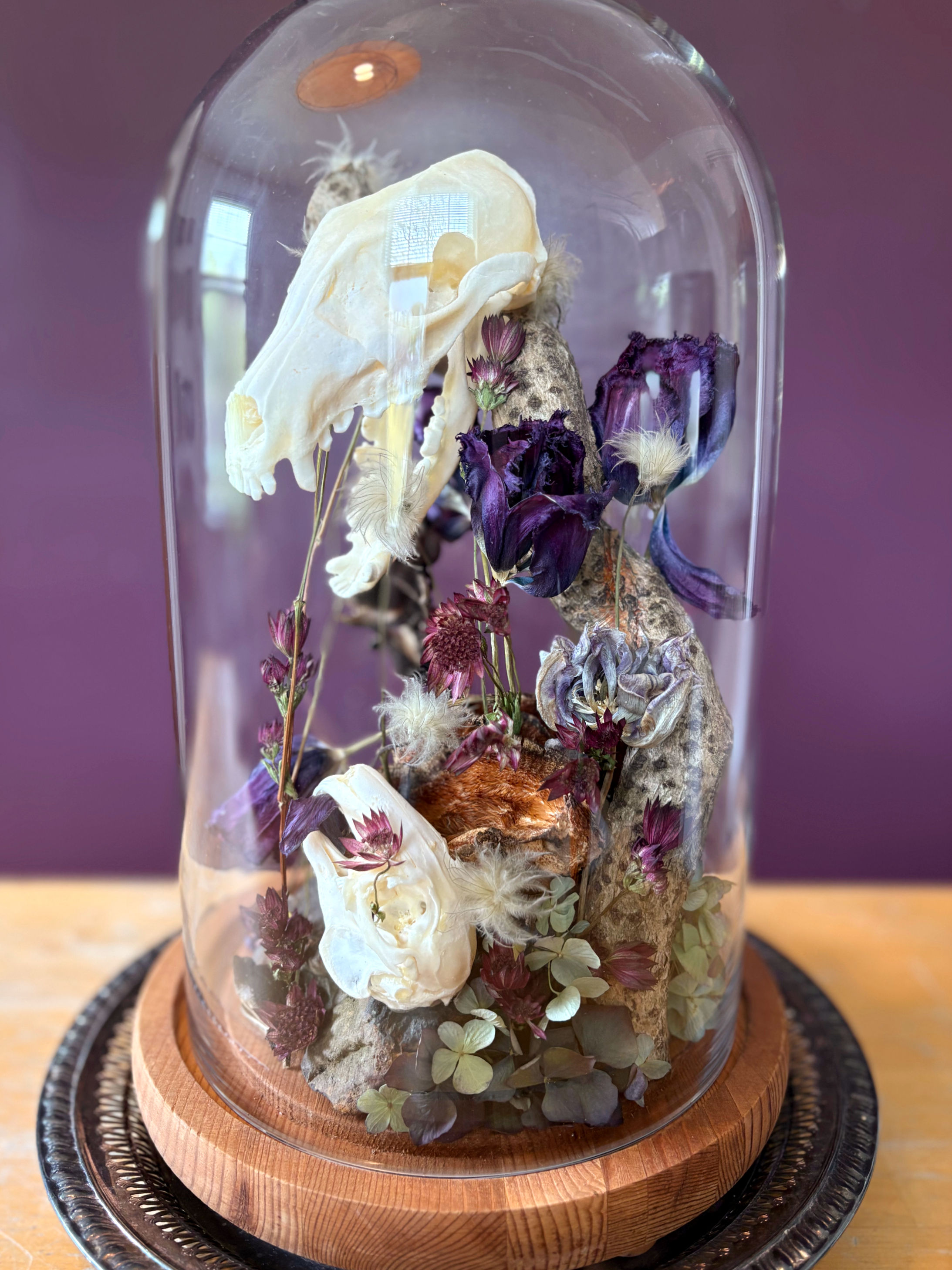 FLORA & FAUNA: "LEGACY" FOX & RABBIT CLOCHE