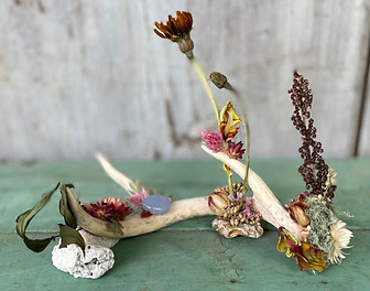 flora and fauna deer antler