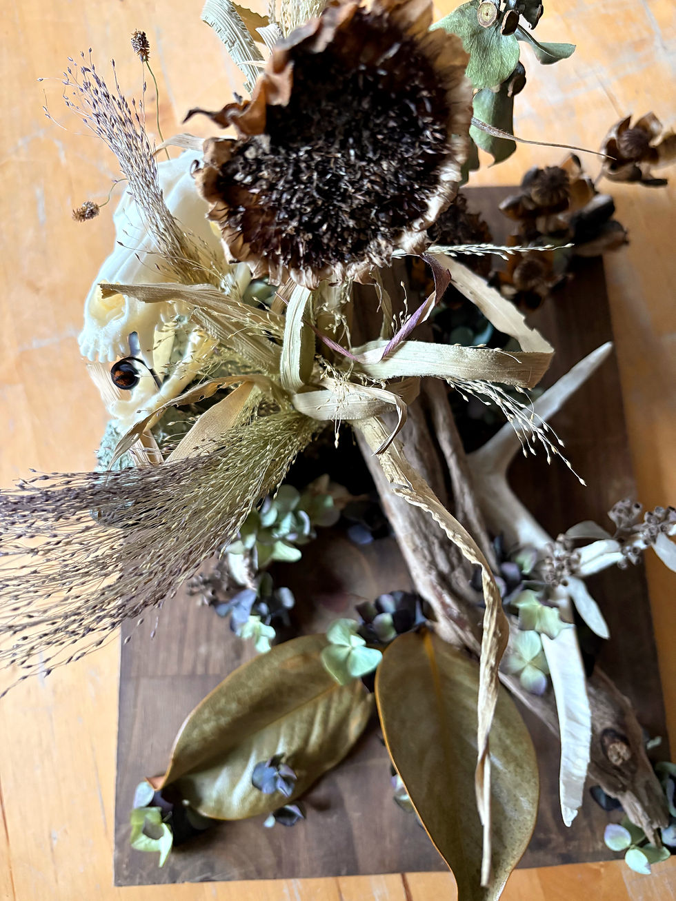 Thumbnail: FLORA + FAUNA: "FOREST FLOOR" FOX SKULL + ANTLER