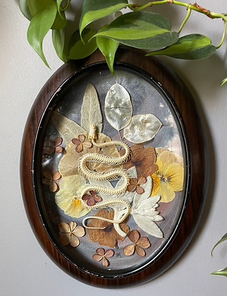 flora and fauna snake art