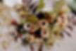 IMG_6058.JPEG