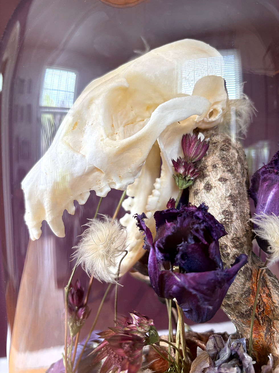 Thumbnail: FLORA & FAUNA: "LEGACY" FOX & RABBIT CLOCHE