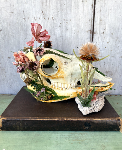 FLORA + FAUNA: 