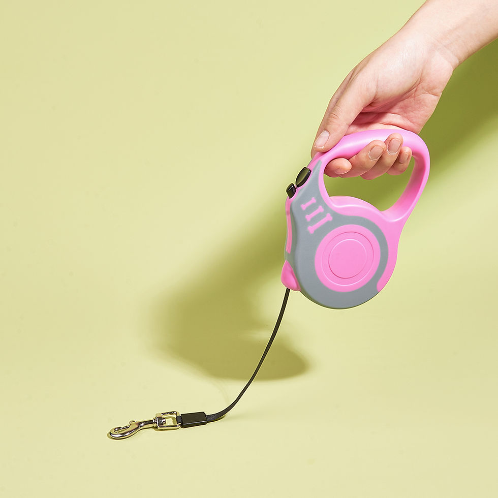 Thumbnail: 3m 5m Dog Leash for Small Dogs 