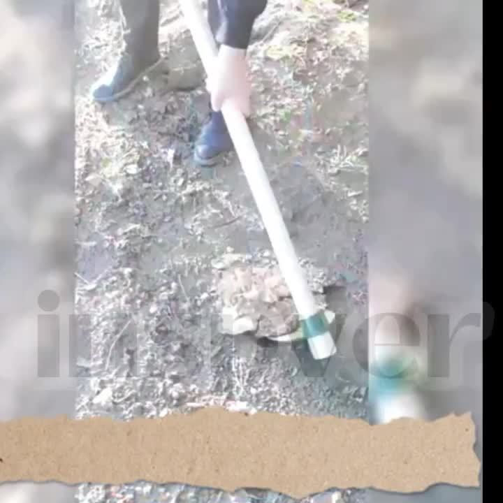 Thumbnail: [Durable Manganese Steel Hoe] Manganese Steel Durable Garden Hoe - Weed Removal 