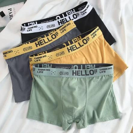 Thumbnail: 4Pcs Boxer Boxer Men's Underwear XS-XXL Men Panties Sexy Man Breathable Boxer Sh