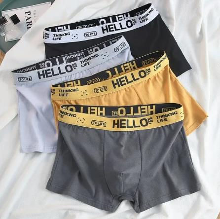 Thumbnail: 4Pcs Boxer Boxer Men's Underwear XS-XXL Men Panties Sexy Man Breathable Boxer Sh