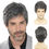 Thumbnail: Men Grey Wig