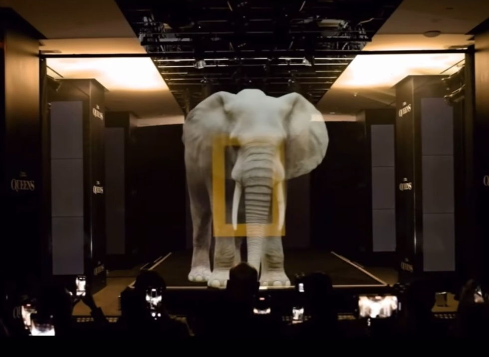 Holographic elephant with National Geographic logo, a blackmatte labs visual solution