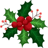 Decorative element - Christmas holly.
