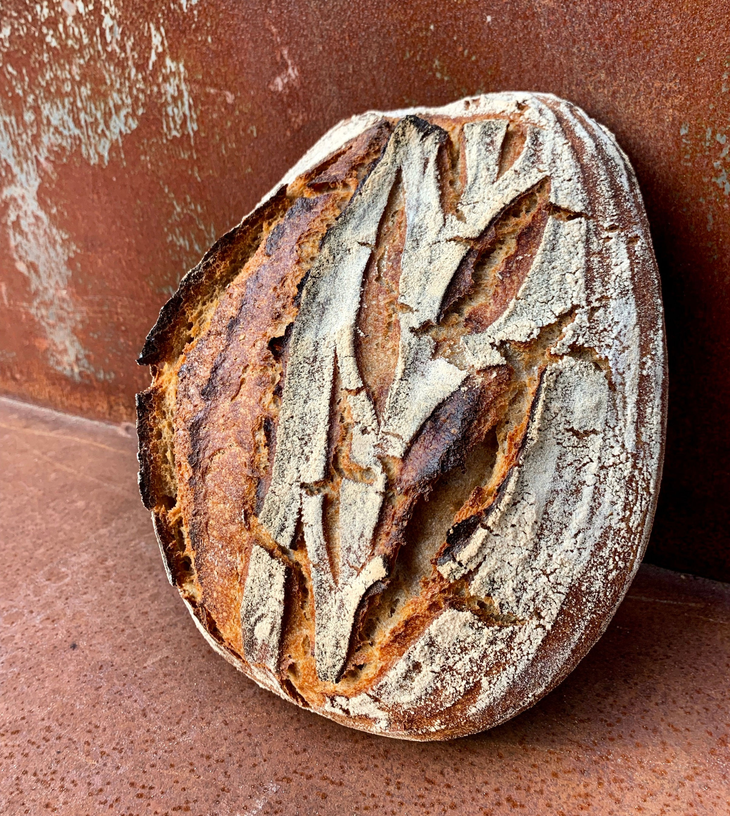 Hudson Valley Country Loaf (Member Value)