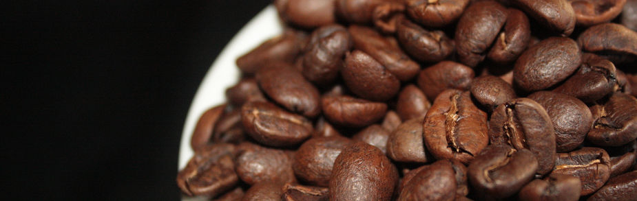 Perfil de tueste café Pacamara grano grande control de energía ABP