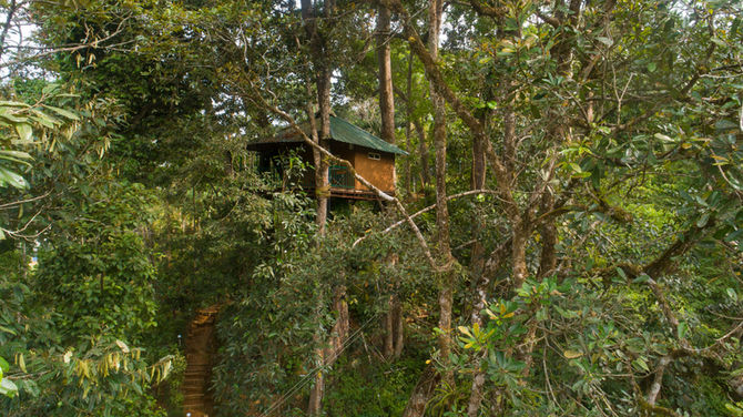Why Ela Ecoland has the best tree house in Munnar