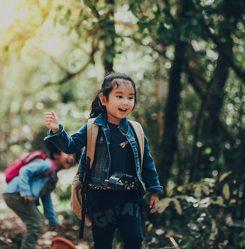 tempImageF5lPQ9 1.png