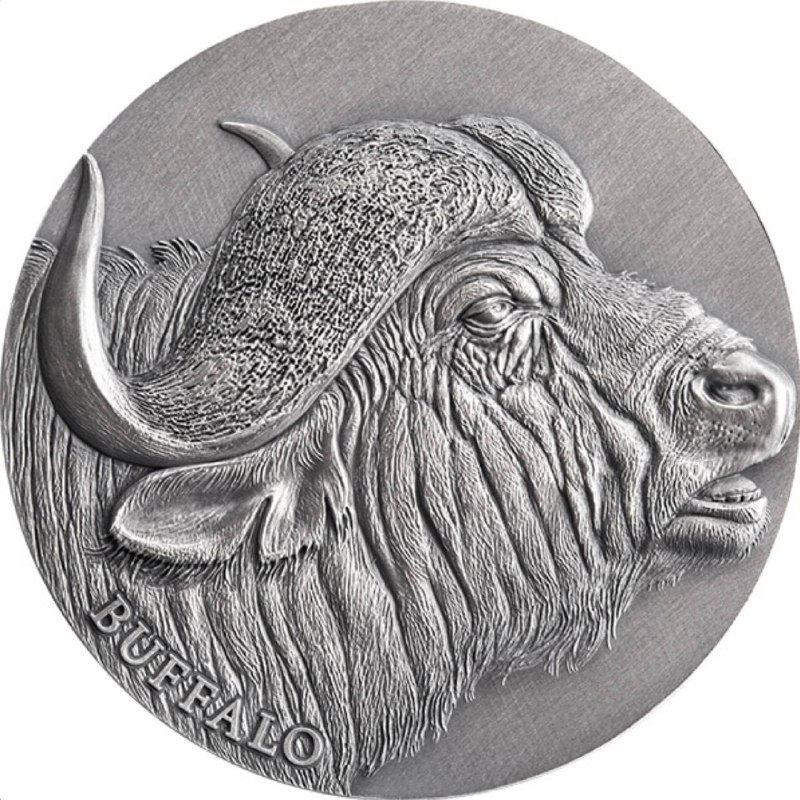 Срібна монета Cameroon 2022 African Buffalo 2 oz Ag .999