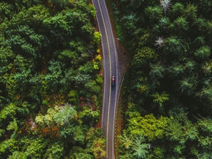 Muir Woods Limo Service: Your Ultimate Guide to a Luxurious Redwood Escape