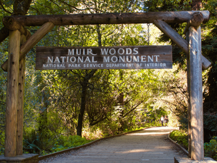 Things to Do in Muir Woods: A Complete Visitor’s Guide