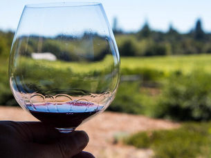 Explore Sonoma Valley: Top Destinations with Luxury Limo Service from San Francisco