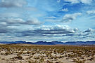 desert_landscape.jpg