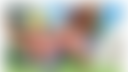 Panchy and Android 12 - Pinup