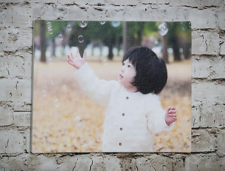 キャンバス パネル