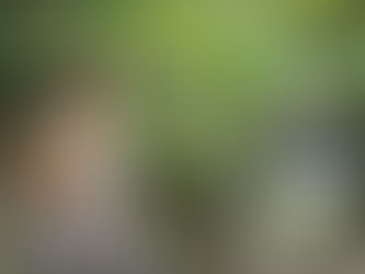 ホテルニューオータニ東京_成人式前撮り