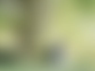 昭和記念公園｜前撮り｜ウェディング