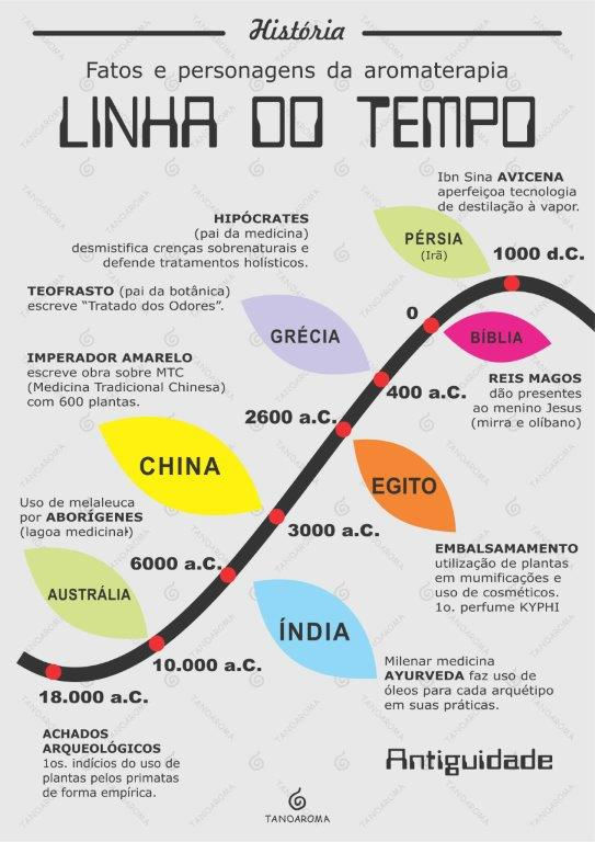 HISTÓRIA 1/3