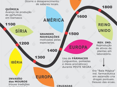 HISTÓRIA 2/3