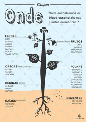 ONDE