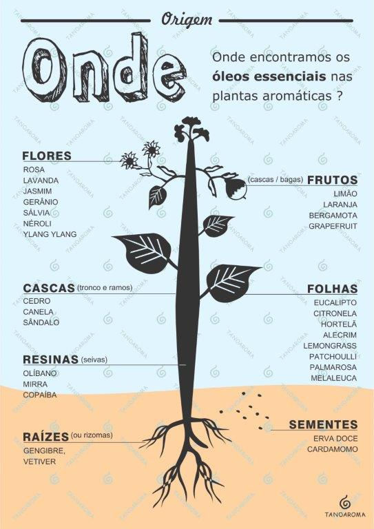 ONDE