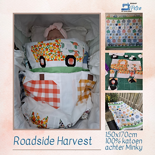 Fotos website nieuw (13).png