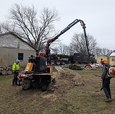 PXL_20250130_211246224.MP.jpg