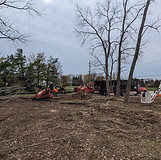 PXL_20241113_182553626.MP.jpg