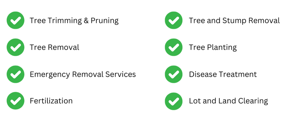 Tree Services outlines with bullet point check marks including tree trimming and pruning, tree removal, emergency tree services, fertilization, lot and land clearing, diseasise treatment, tree planting