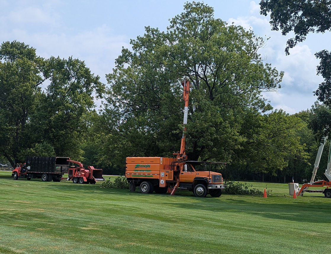 Tree trimming in Fishers, IN using orange lift truck on spacious green lot with mature trees