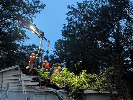 Tree professionals removing a fallen tree on small home in the early dusk hours