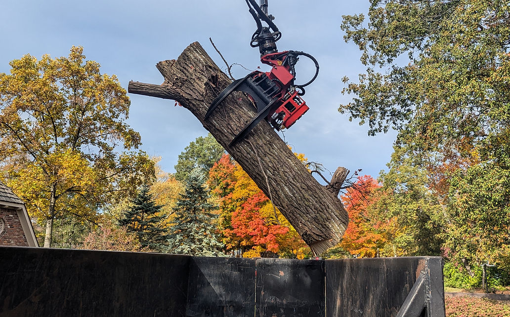 Tree removal equipment with a hydraulic claw lifting a large tree section from a residential property and placing it into a trailer bed for safe removal