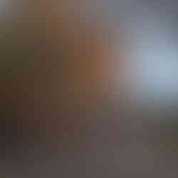 Tree pruning near a house on a residential property in autumn