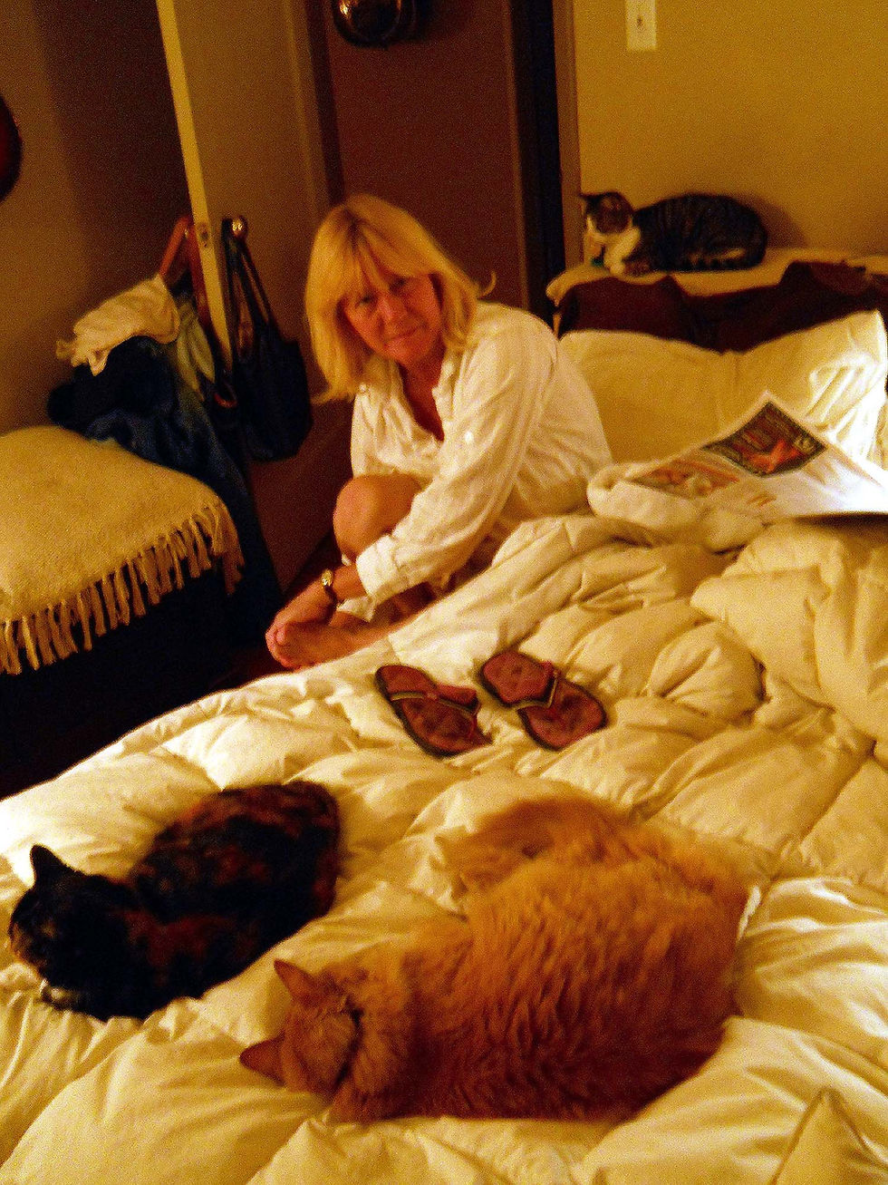 Pam and the Cats
