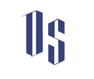 DS LOGO 拷贝.png