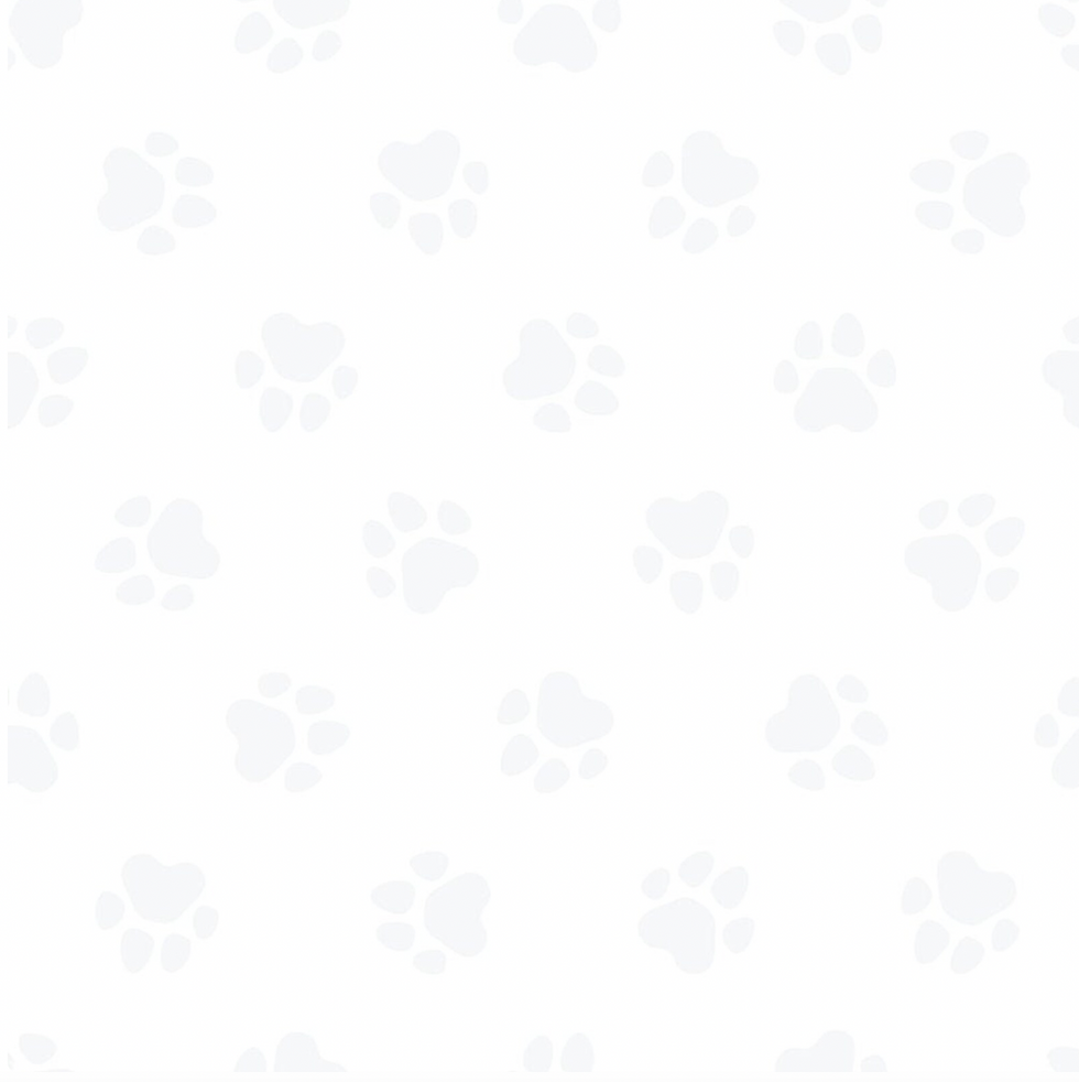 Screen Shot 2024-04-14 at 2.02.54 PM.png