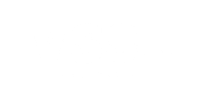 VSSL (6).png