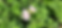 Banniere_rosat.png