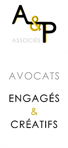 Bandeau-Logo-AP-ASSOCIES-FINAL.png