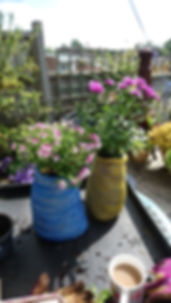image1.jpeg